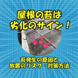 屋根の苔は、劣化のサイン！苔発生の原因と放置のリスク・対策方法～高槻市・向日市・長岡京市