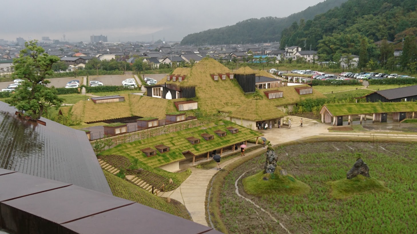 屋根に生えている雑草を放置するとどうなるの？～大阪府高槻市、京都府向日市、長岡京市